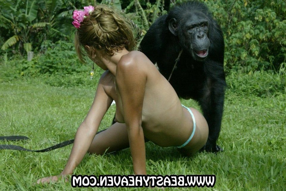 Monkeys having sex with women.