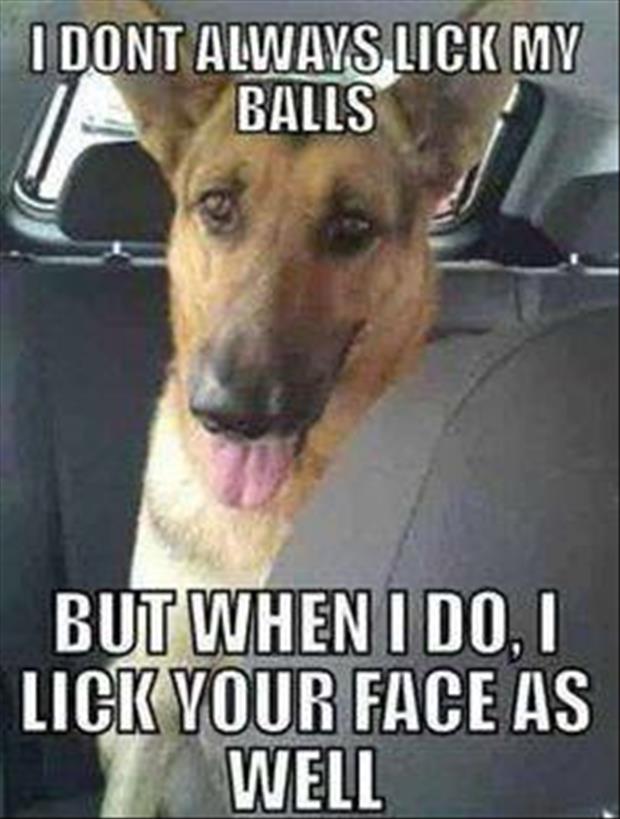 My dog lick my balls.