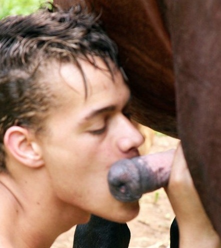 Boy Suck Horse Porno Gay It doesnt sound like this guy has been secretly to...