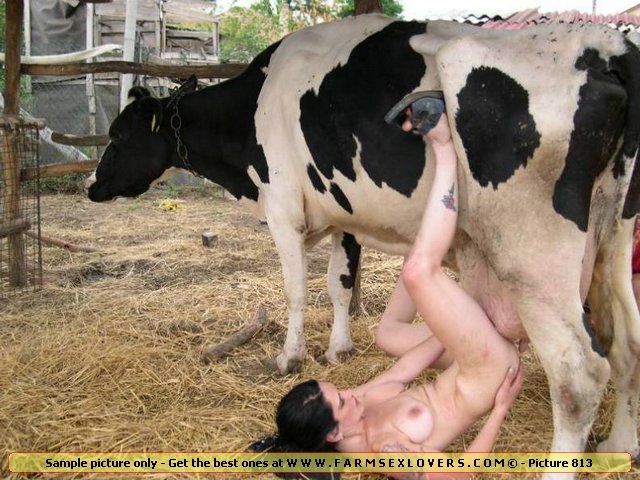Cow Sex Xx Video - Google Cows Wwwxxx | Sex Pictures Pass