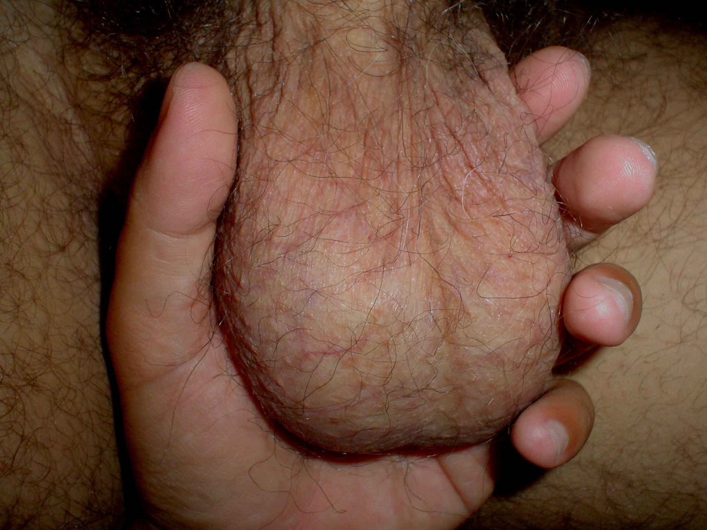 Big Hairy Balls Nude Uncut