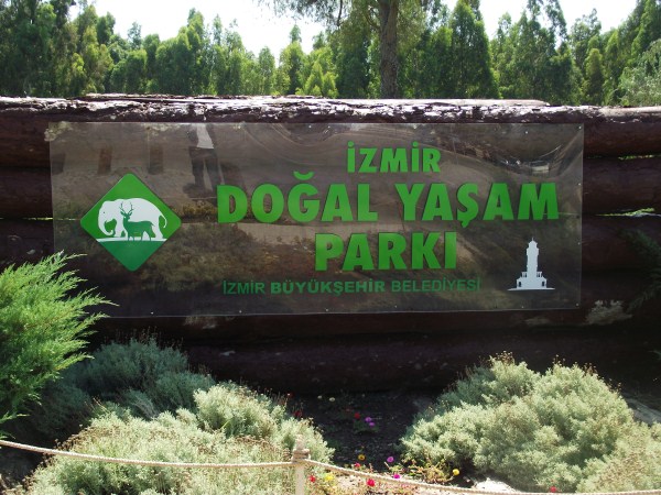 Porn with zoo in İzmir