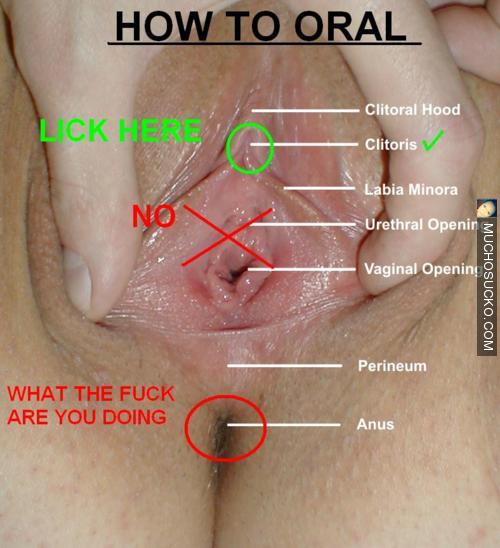 ⭐ how to lick pussy properly